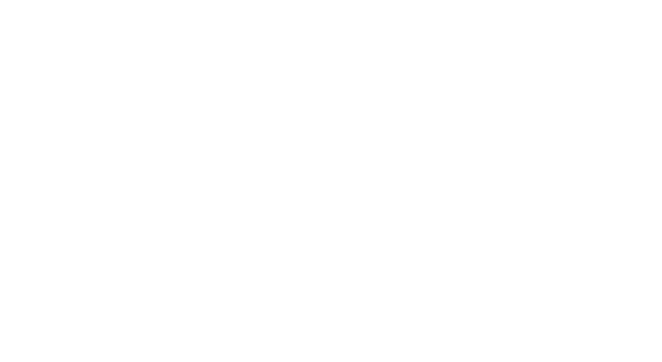SAN client logo